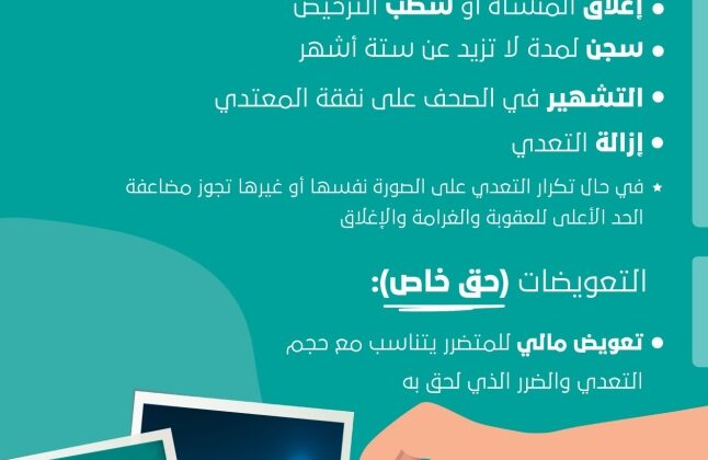 انتهاك حقوق الملكية الفكرية