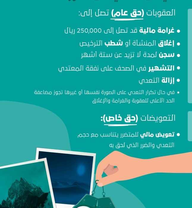 انتهاك حقوق الملكية الفكرية