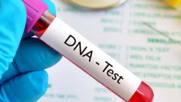 إثبات النسب أمام المحاكم