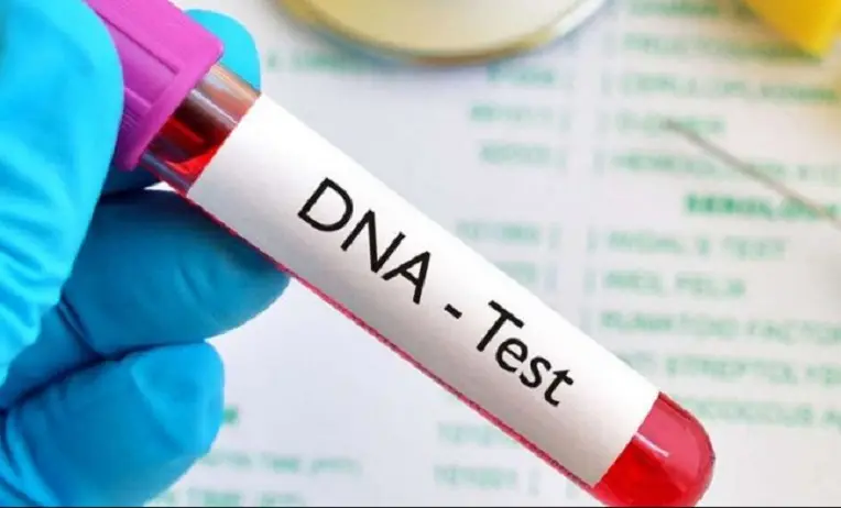 إثبات النسب أمام المحاكم